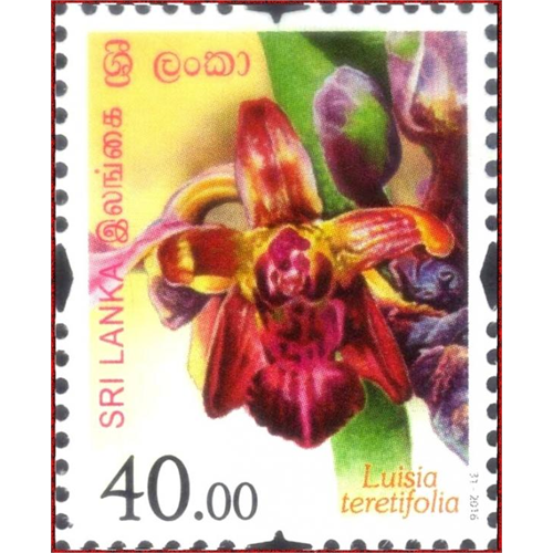 Sri Lanka 2016-10-07 Flowers Of Sri Lanka Luisia Teretifolia Stamp Rs 40.00