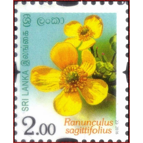 Sri Lanka 2016-10-07 Flowers Of Sri Lanka Ranunculus Sagittifolius Stamp Rs 2.00