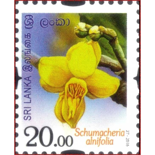 Sri Lanka 2016-10-07 Flowers Of Sri Lanka Schumacheria Alnifolia Stamp Rs 20.00
