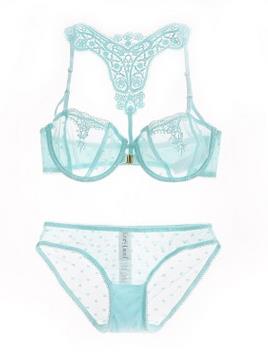 Dark Angels Embroidered Floral Sexy Bra & Brief Set With Underwire Sea Green