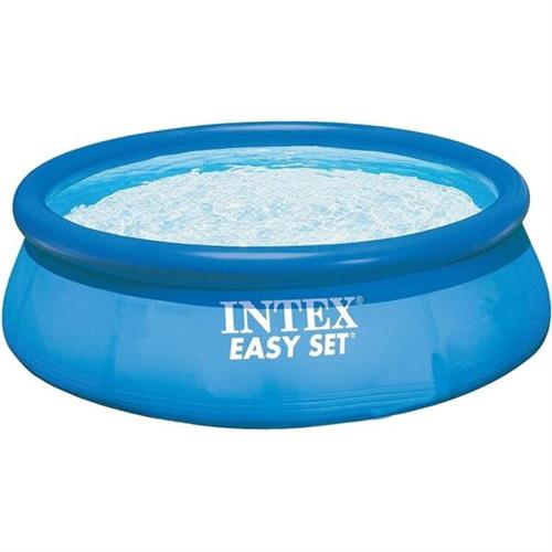 Intex 28110 Easy Set Swimming Pool Blue