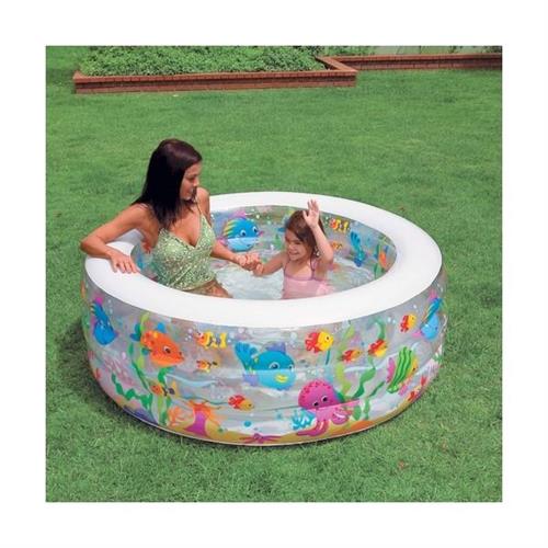 Intex Aquarium Pool 58480NP