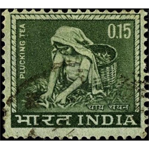 India 1965 -1967 Plucking Tea 15 Cents Dark Olive Green White