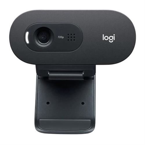 Logitech C505 HD Web Camera