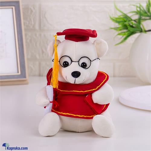 Cute Graduate Teddy