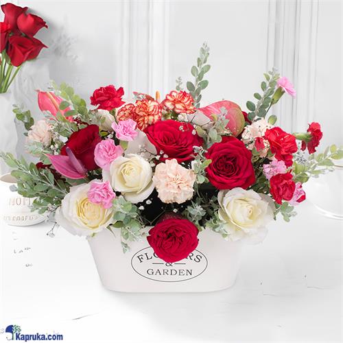 Scarlet Dreamscape Arrangement