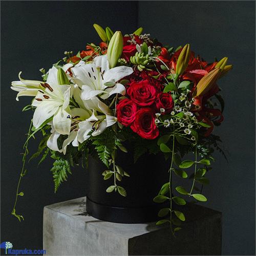 Velvet Dreams Flower Arrangement - By Shirohana