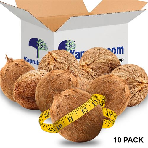 Coconuts 10 Pack Box - Fresh Vegetables