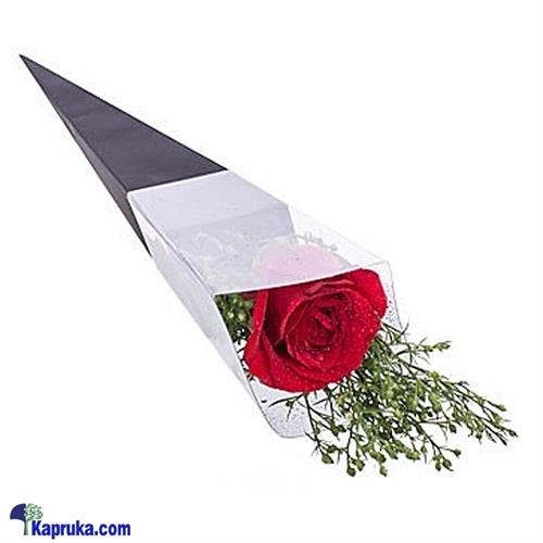 Single Red Rose For Her