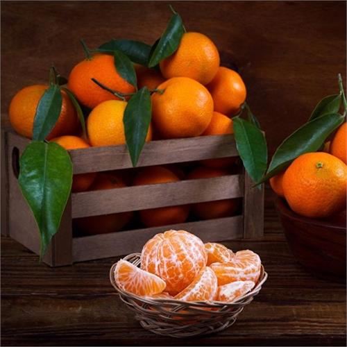 Mandarine Five Pack