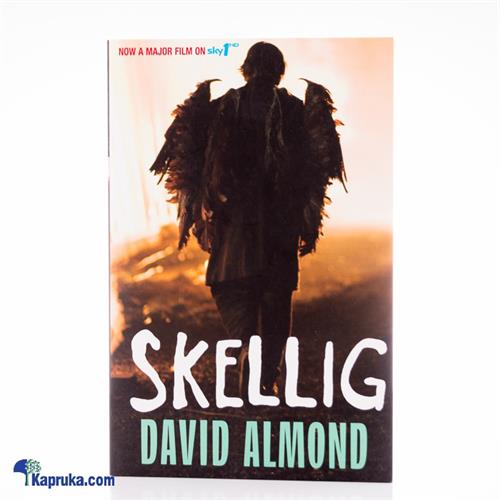 Skellig By David Almond