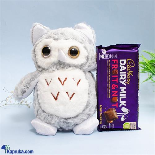 Choco Owl Delights