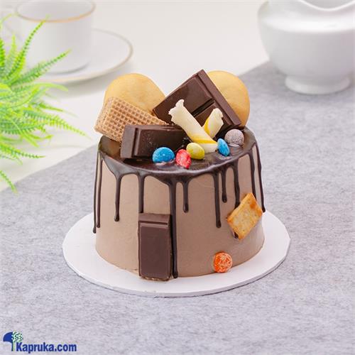 Cocoa Wonders Bento Cake