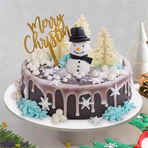 Frosted Chocolate Cake
