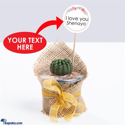 Cactus With Customize Greeting