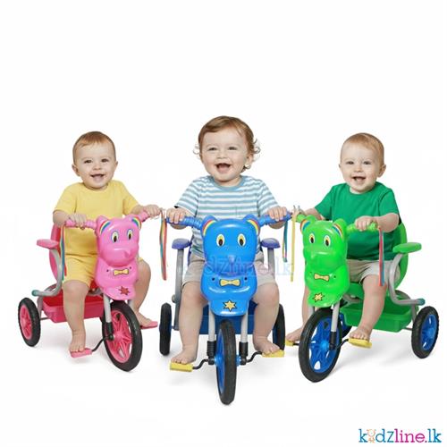 Tricycle (Little Panda II)