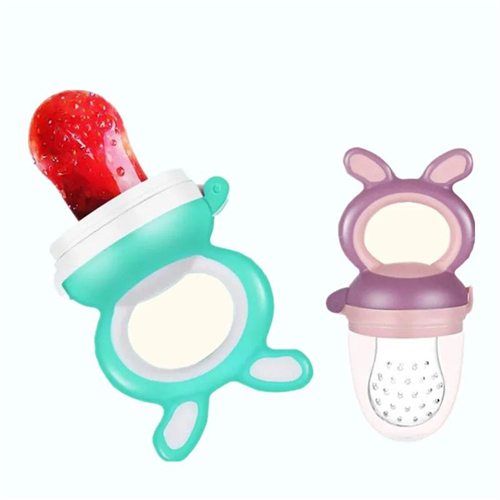 Fruit Feeder Pacifier