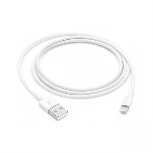 Apple Lightning to USB Cable