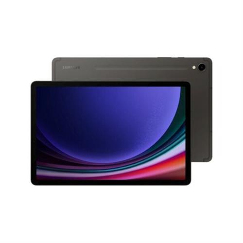 Samsung Galaxy Tab S9 WiFi 12GB 256GB