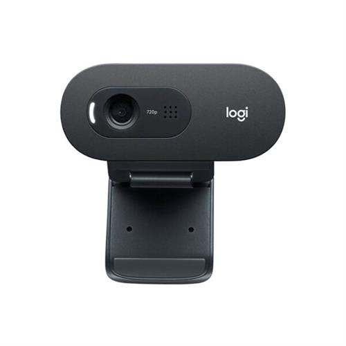 Logitech C505 HD Webcam