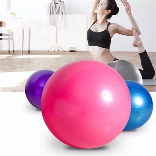 Yoga Ball / Exercise Ball-55cm