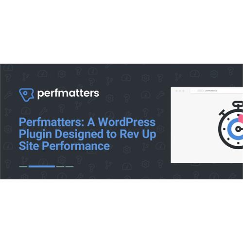 Perfmatters Lightweight WordPress Performance Plugin (official) Lifetime