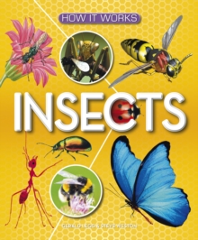 INSECTS
