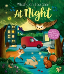 At Night