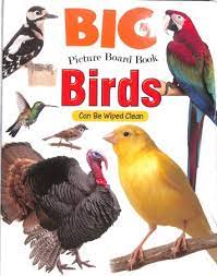BIG PICTURE BOARD BOOK - BIRDS