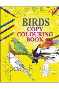 COPY COLOURING BOOK - BIRDS