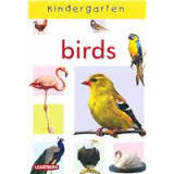 KINDERGARTEN - VEGETABLES