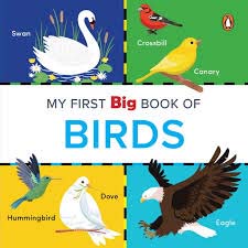 MY FIRST BIG BOOK OF BIRDS