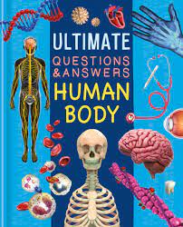 ULTIMATE QUESTIONS AND ANSWER - HUMAN BODY