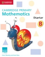 Cambridge Primary Mathematics Starter Activity Book B