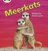 Meerkats