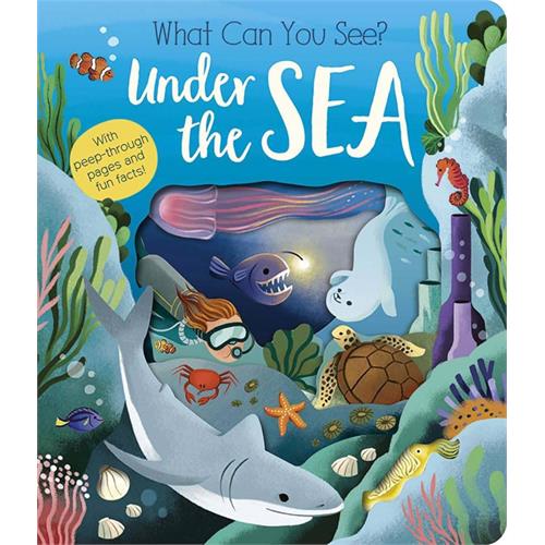 WHAT CAN YOU SEE? UNDER THE SEA