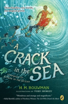 CRACK IN THE SEA