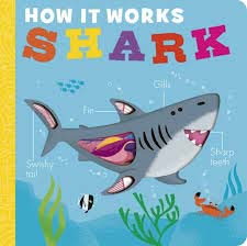 HOW IT WORKS SHARK