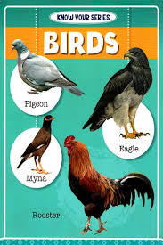 KNOW YOUR - BIRDS