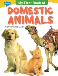 KNOW YOUR - DOMESTIC ANIMALS
