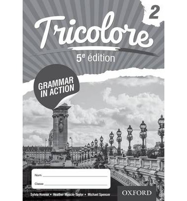 Tricolore Grammar in Action Workbook 2