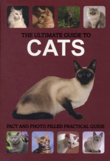 Ultimate Guide to Cats