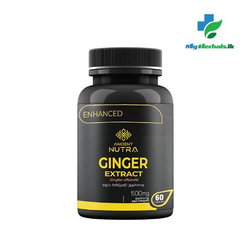 Ginger Extract