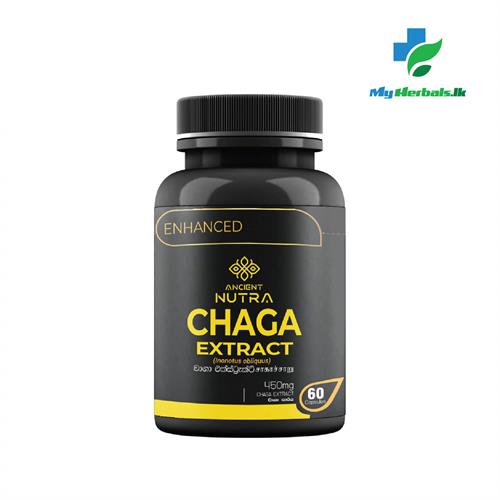 Chaga Mushroom Extract