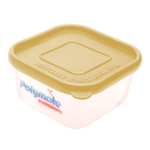 Polymate Freezer Container Small Transparent