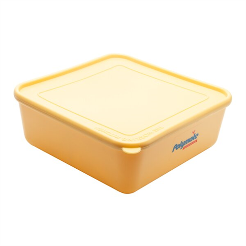 Polymate Freezer Container Large