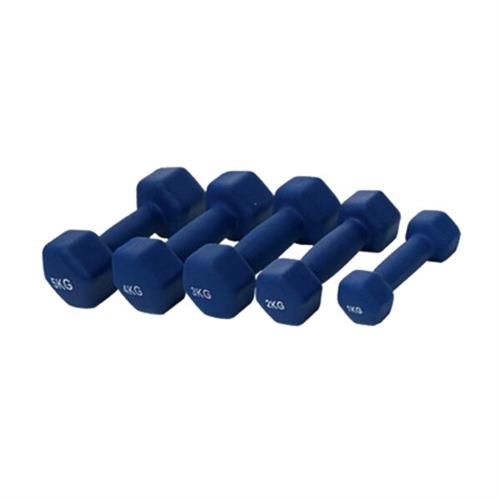 Neoprene Dumbbell 1Kg