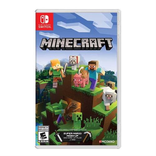 Minecraft Nintendo Switch