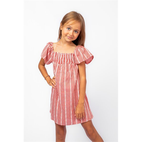 Pinkabuds Red Check Dress