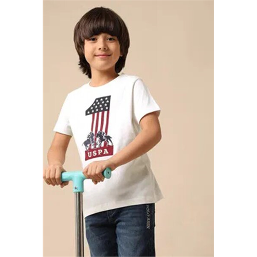 Us Polo Boys Regular Fit Graphic Brand Printed T Shirt